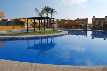Jacaranda pool