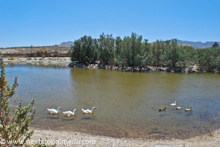Huerta Nueva Lake
