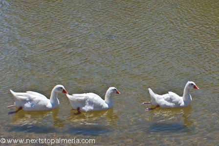 Huerta Nueva Lake