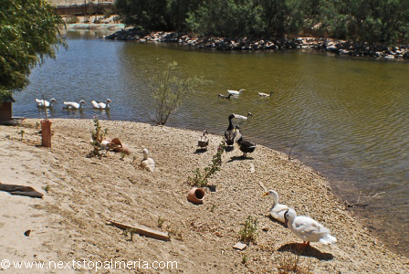 Huerta Nueva Lake