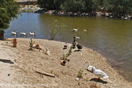 Huerta Nueva Lake